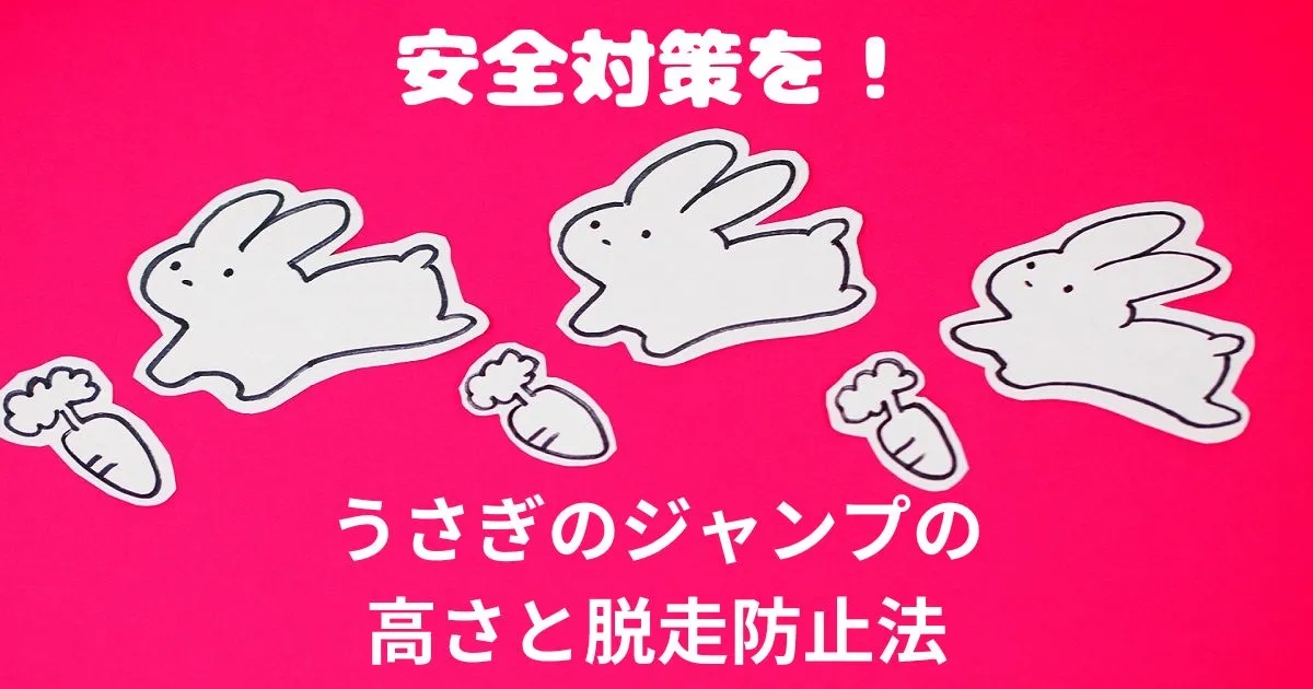 高くジャンプするうさぎ