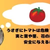 トマトを思い浮かべるうさぎ