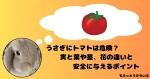 トマトを思い浮かべるうさぎ