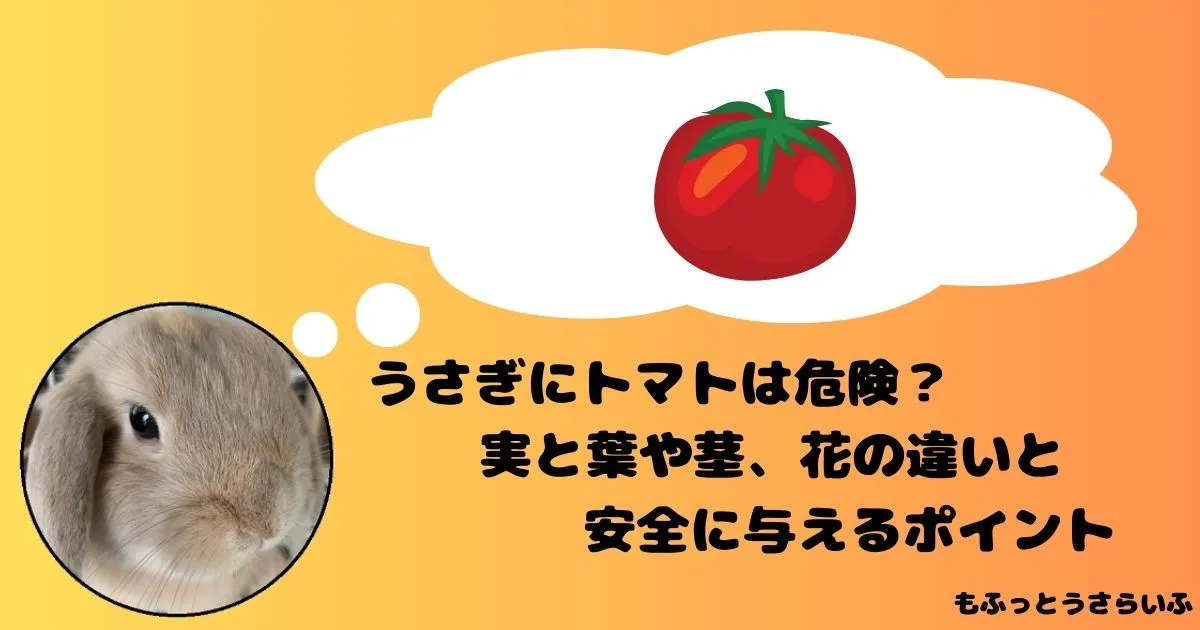 トマトを思い浮かべるうさぎ