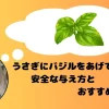 バジルを思い浮かべるうさぎ