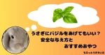 バジルを思い浮かべるうさぎ