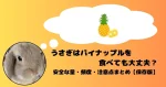 パイナップルを思い浮かべるうさぎ