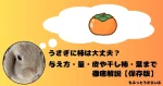 柿を思い浮かべるうさぎ