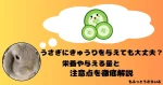 きゅうりを思い浮かべるうさぎ