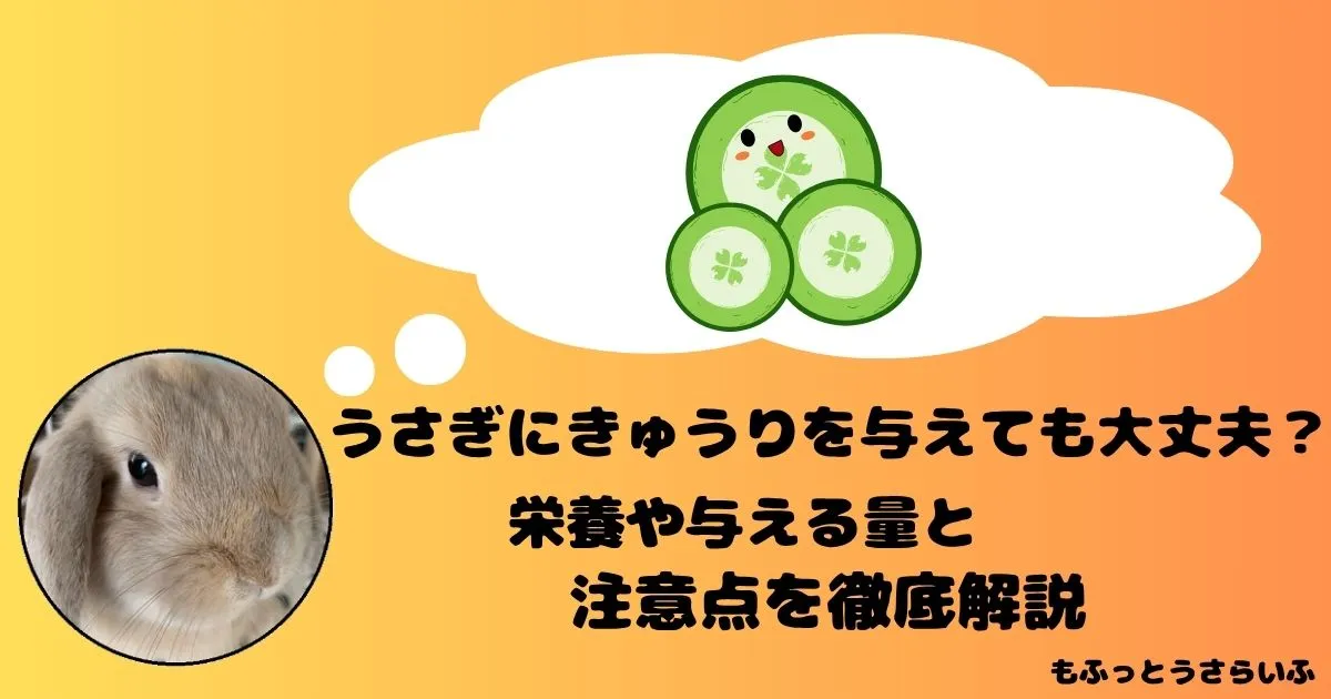 きゅうりを思い浮かべるうさぎ