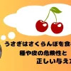 さくらんぼを思い浮かべるうさぎ