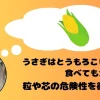 とうもろこしを思い浮かべるうさぎ