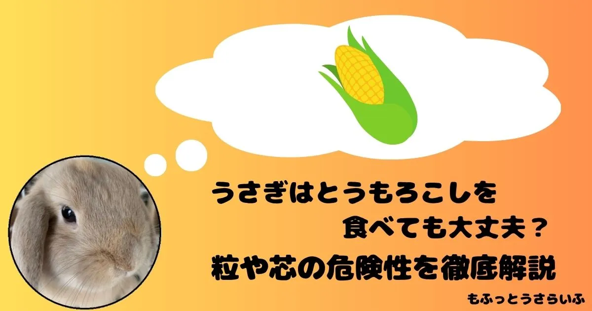とうもろこしを思い浮かべるうさぎ
