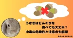 どんぐりを思い浮かべるうさぎ