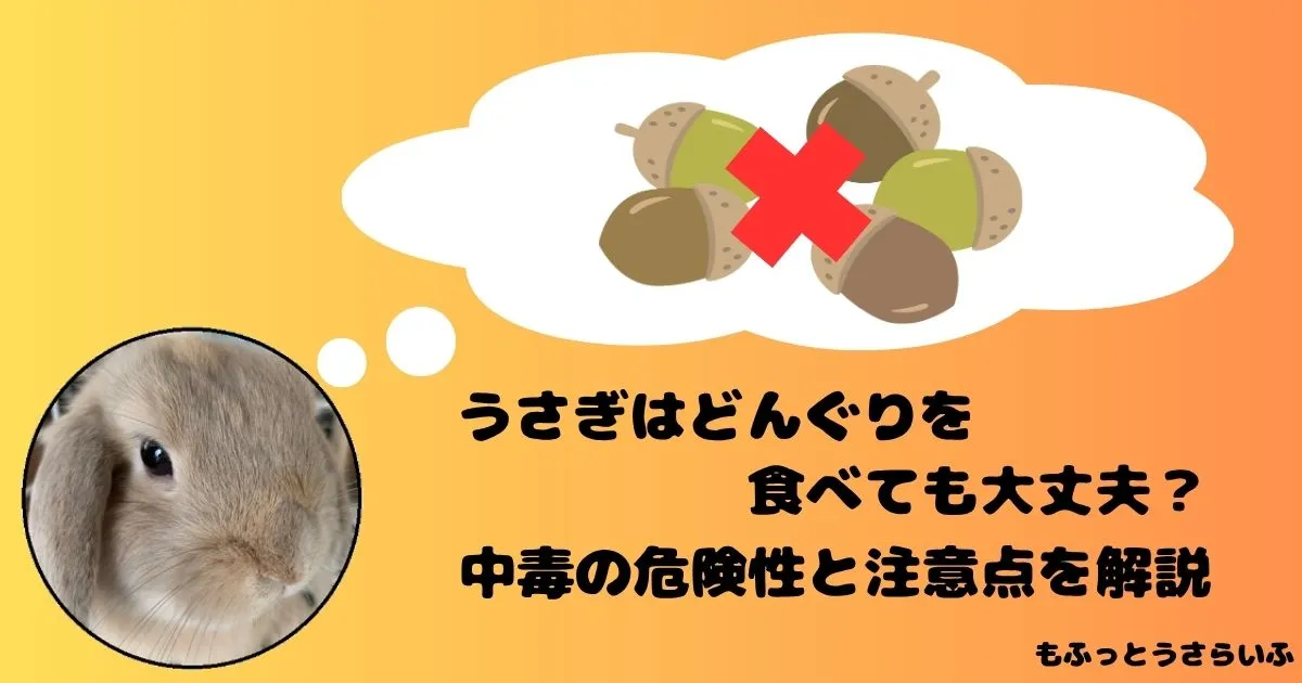 どんぐりを思い浮かべるうさぎ