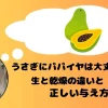 パパイヤを思い浮かべるうさぎ