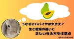パパイヤを思い浮かべるうさぎ