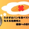 パンを思い浮かべるうさぎ