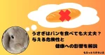 パンを思い浮かべるうさぎ