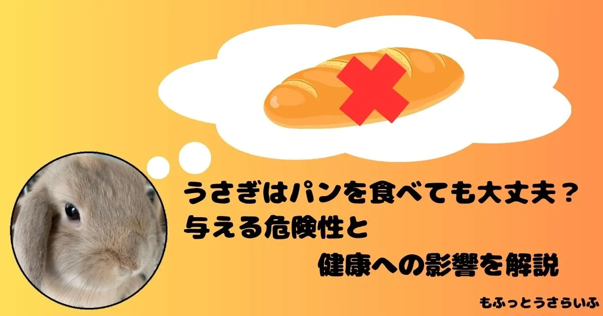 パンを思い浮かべるうさぎ