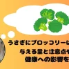 ブロッコリーを思い浮かべるうさぎ