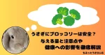 ブロッコリーを思い浮かべるうさぎ