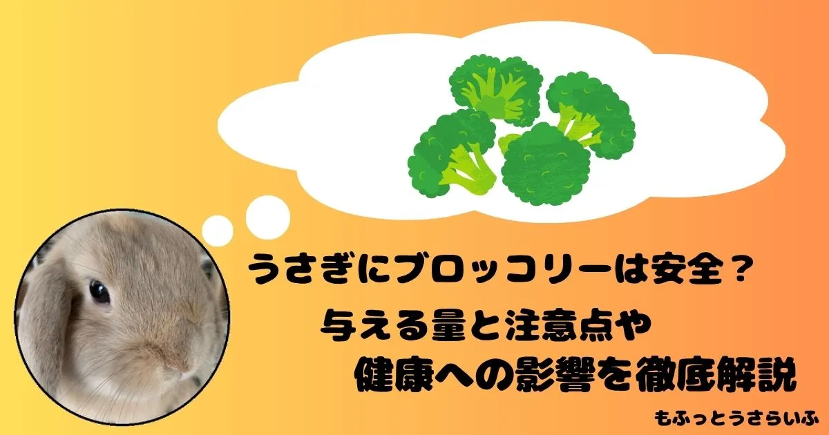 ブロッコリーを思い浮かべるうさぎ