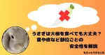 大根を思い浮かべるうさぎ